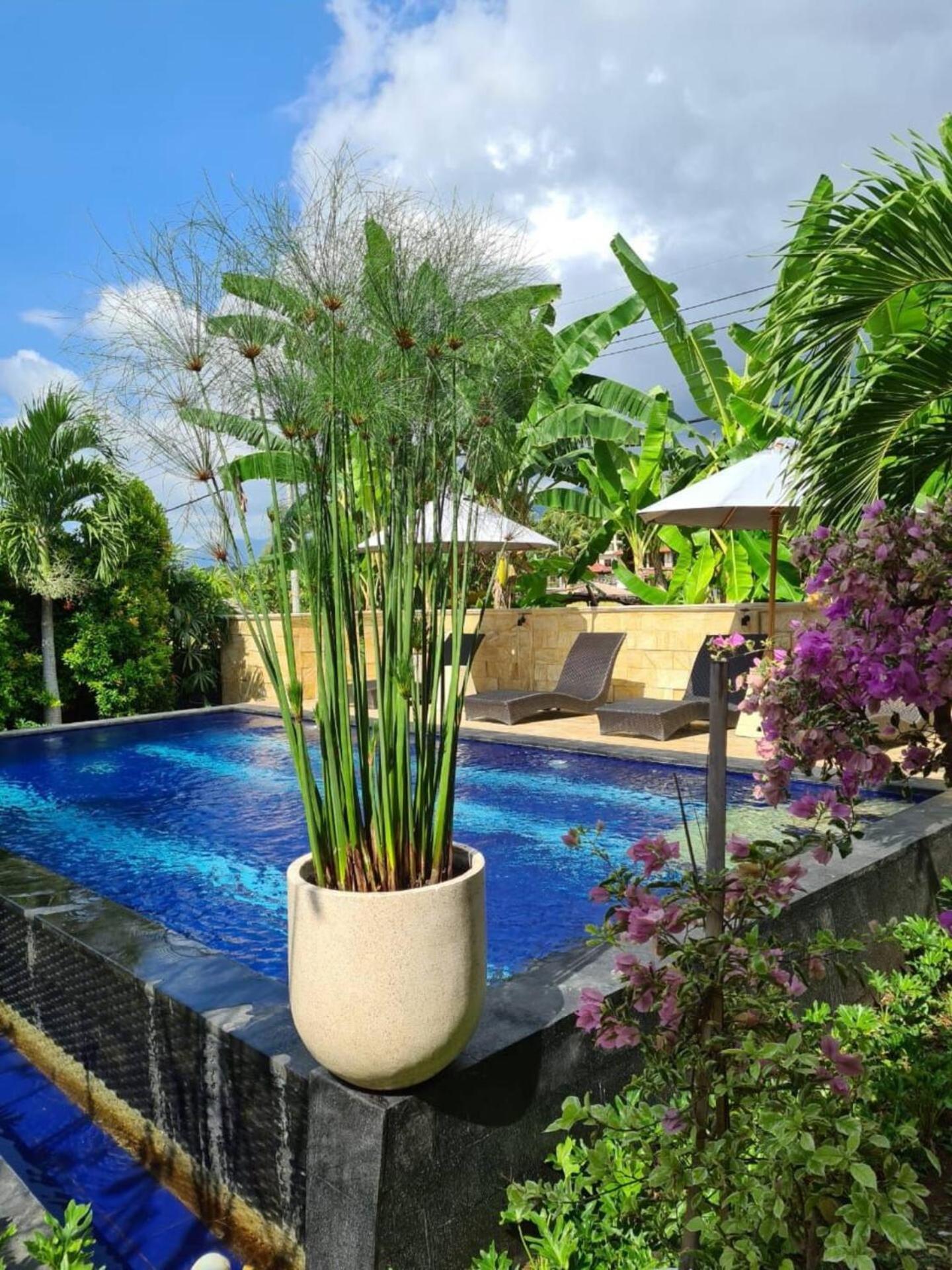 Villa Aurora Lovina 外观 照片